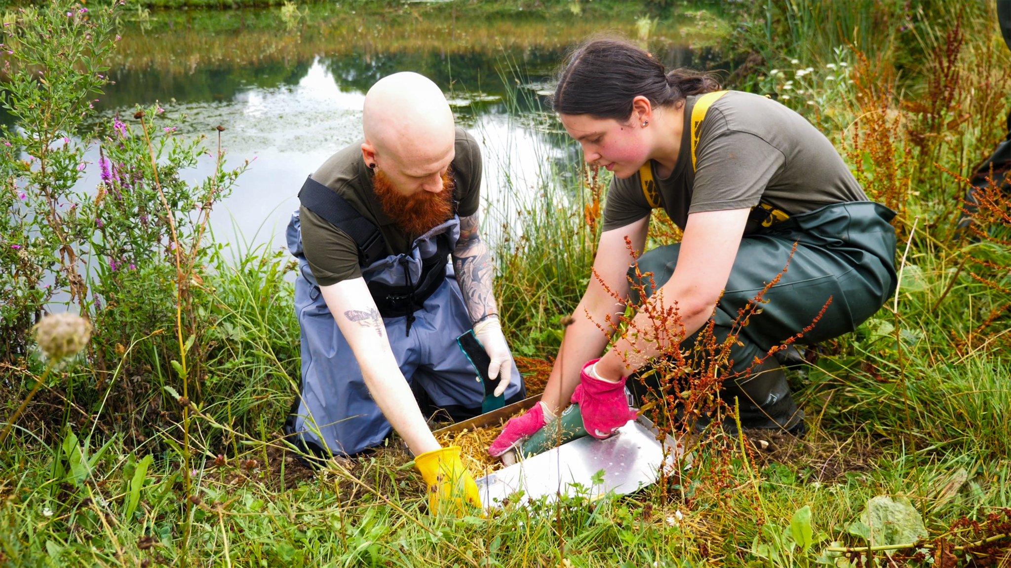 Water Vole Release Credit Wildwood Trust Harding Lee Media 9