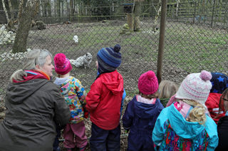 Eyfs2 Web