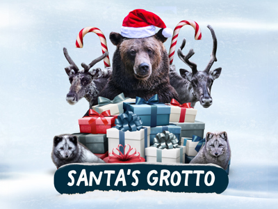 1900 X 544 Christmas Website Banner