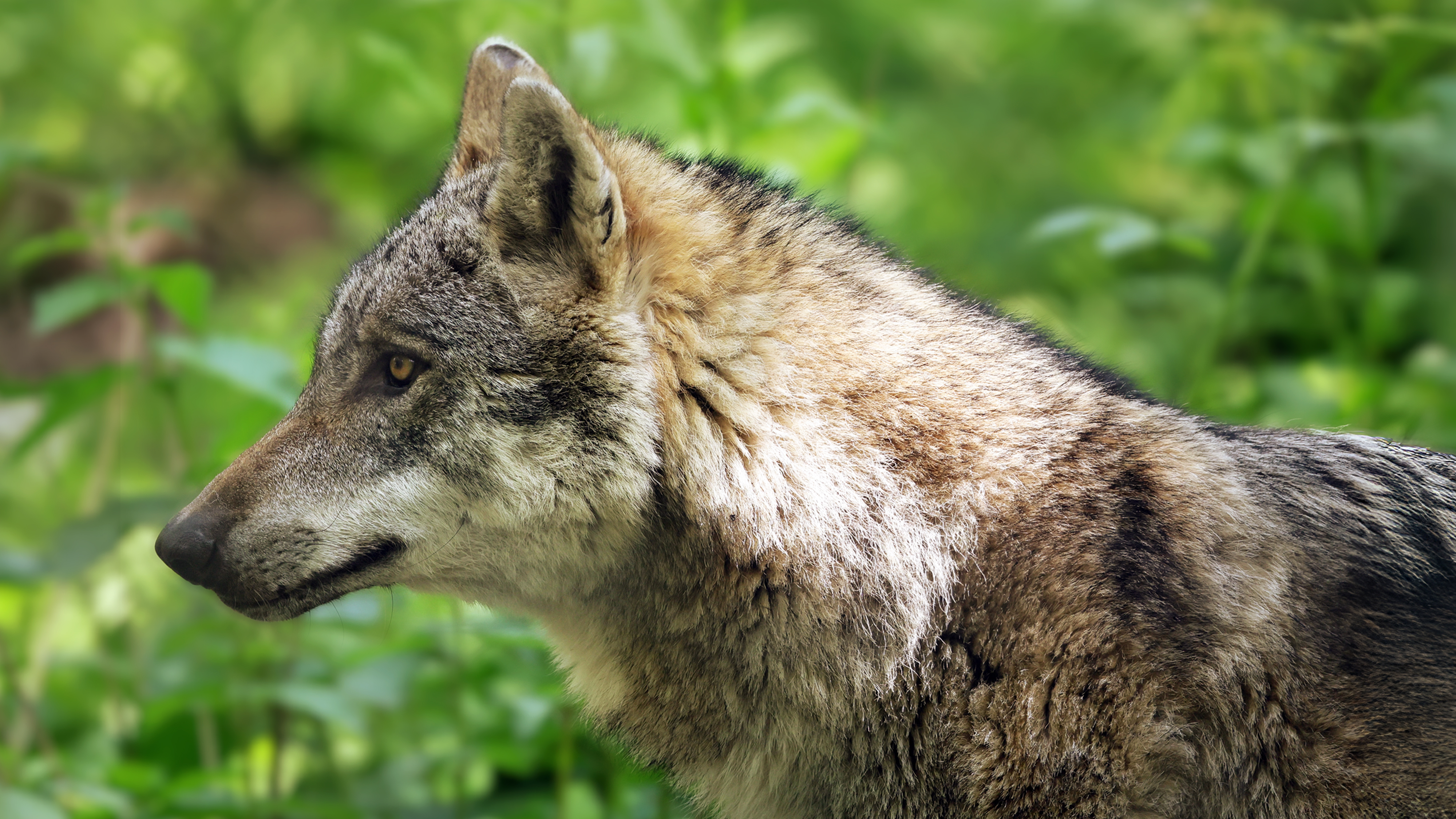 2. Summer Evening (Kent)