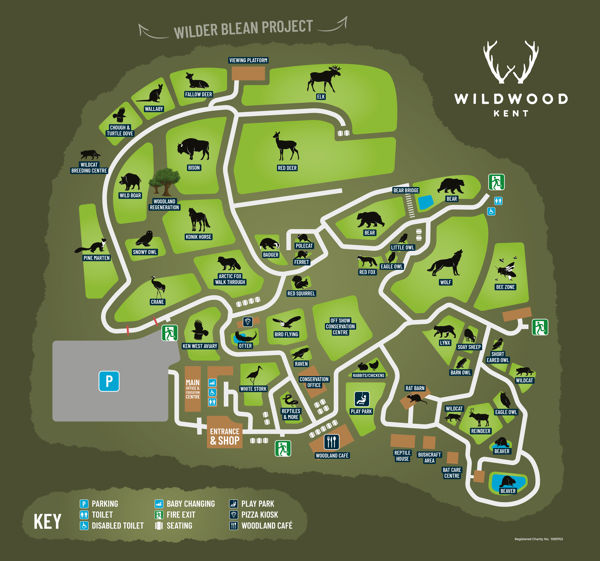 visit wildwood kent