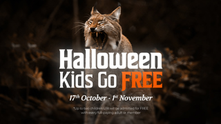 Wildwood Halloween Hero (Kent Website)
