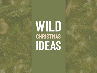 Wild Christmas Ideas Website Banner (1)