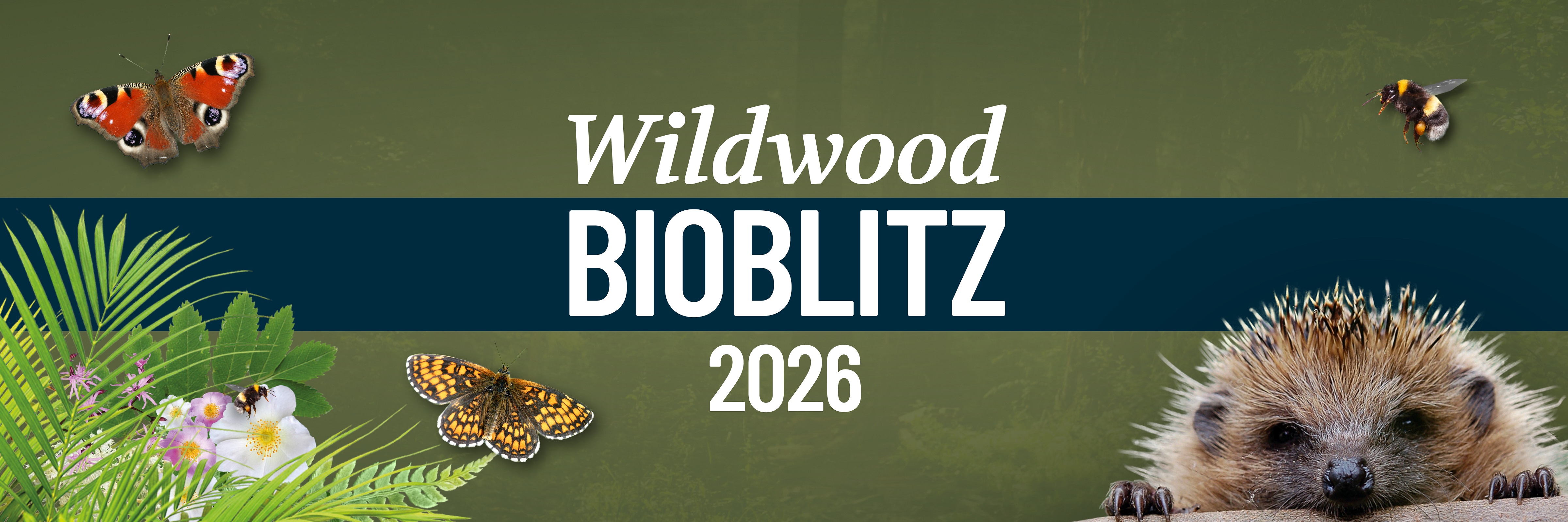 Bioblitz Banner Resized