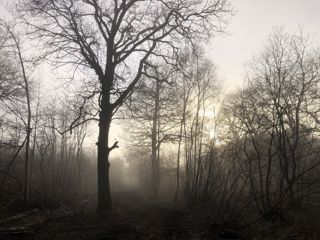 Silhouette Jan'22 (Donovan Wright)