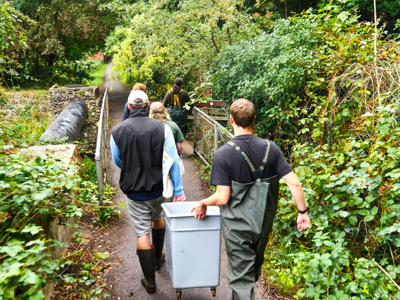 Water Vole Release Credit Wildwood Trust Harding Lee Media 7