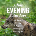 Summer Evening Sessions Kent Adult